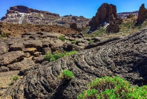 Tenerife Private Tour: Full-Day Volcanic South