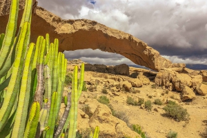 Tenerife privat tur: Heldags vulkansk syd