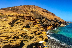 Tenerife privat tur: Heldags vulkansk syd