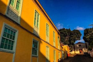 Tenerife privat tur: Heldags vulkansk syd