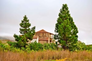 Tenerife privat tur: Heldags vulkansk syd