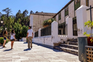 Tenerife privat tur: Heldags vulkansk syd