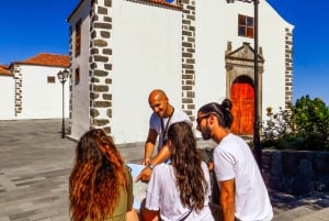 Tenerife privat tur: Heldags vulkansk syd