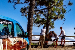 Tenerife privat tur: Heldags vulkansk syd