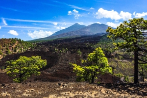 Tenerife privat tur: Heldags vulkansk syd
