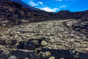 Tenerife privat tur: Heldags vulkansk syd