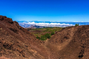Tenerife privat tur: Heldags vulkansk syd