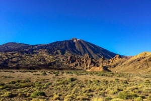 Tenerife Tour Privado: Teide Naturaleza y Vino