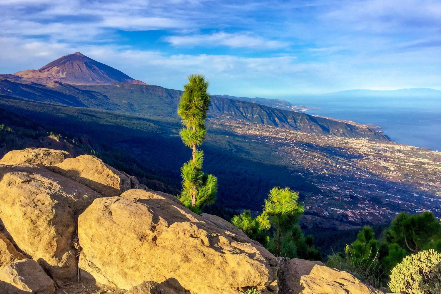 Privat tur til Tenerife: Teide og smaker fra nord