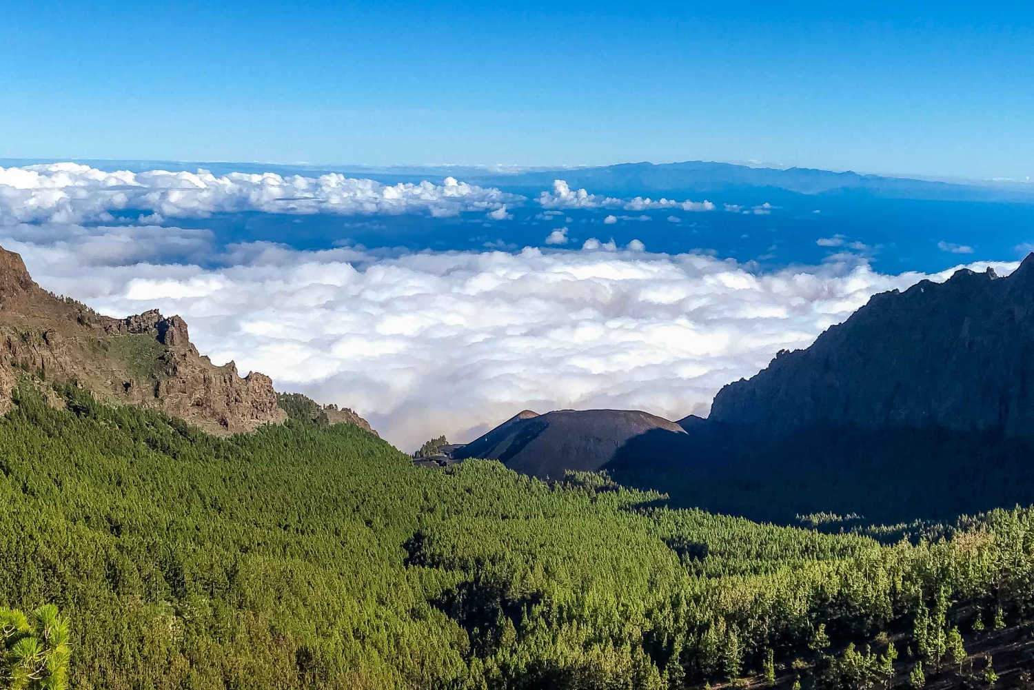 Privat tur til Tenerife: Teide og smaker fra nord
