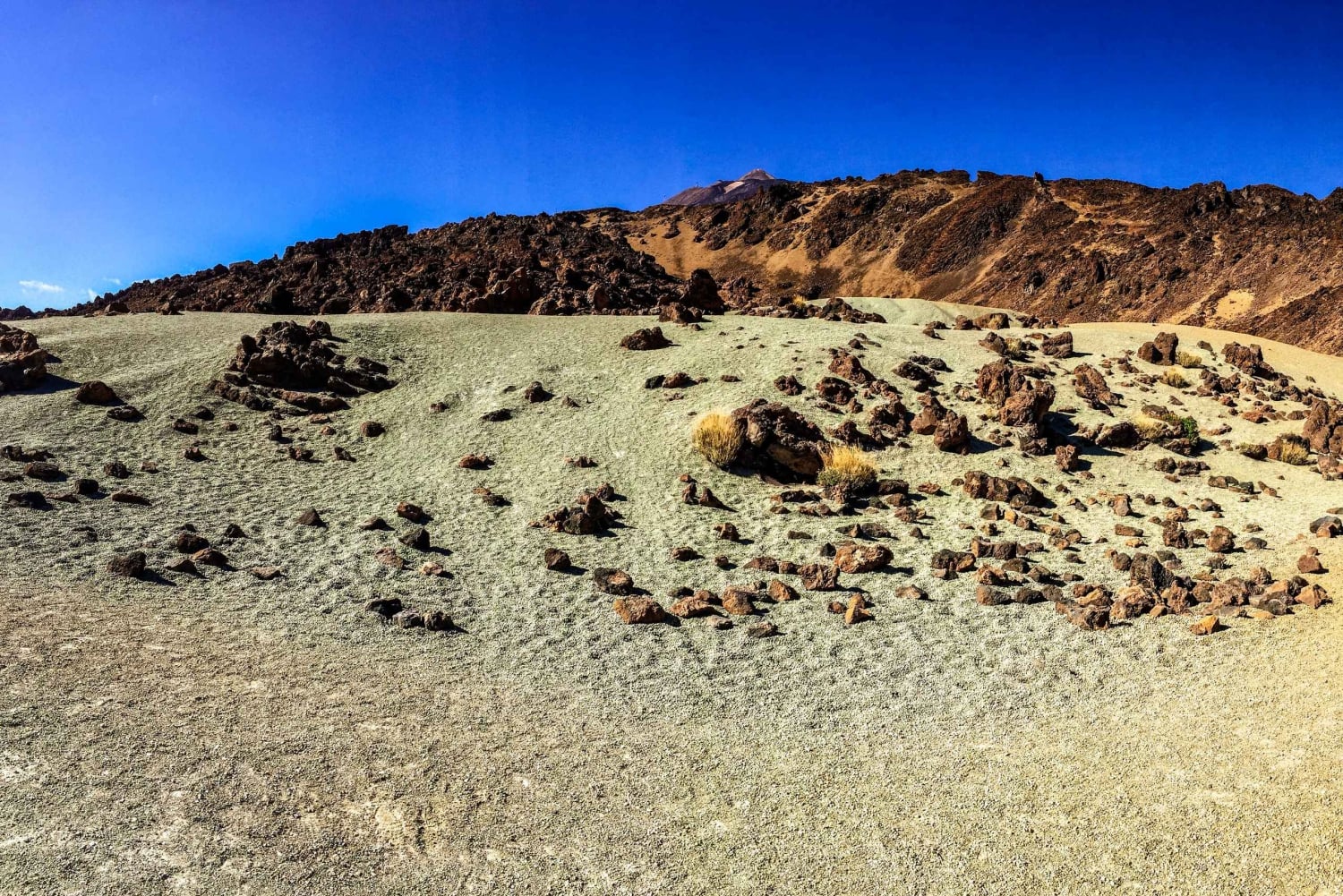 Privat tur til Tenerife: Teide og smaker fra nord