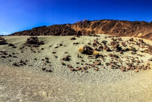 Privat tur til Tenerife: Teide og smaker fra nord