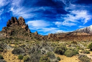 Privat tur til Tenerife: Teide og smaker fra nord