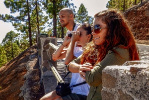 Privat tur til Tenerife: Teide og smaker fra nord