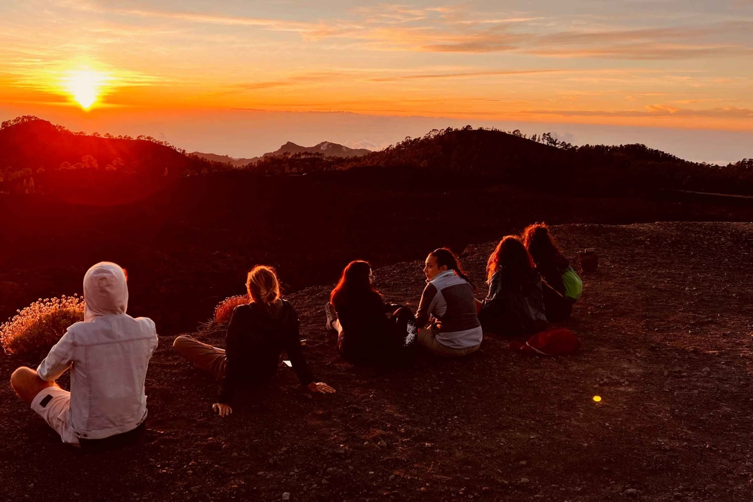 Tenerife: Private VIP Tour Teide National Park
