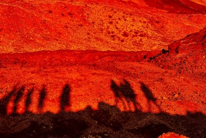 Tenerife: Private VIP Tour Teide National Park