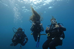 Tenerife: Buceo certificado en Puerto Colón en lancha rápida