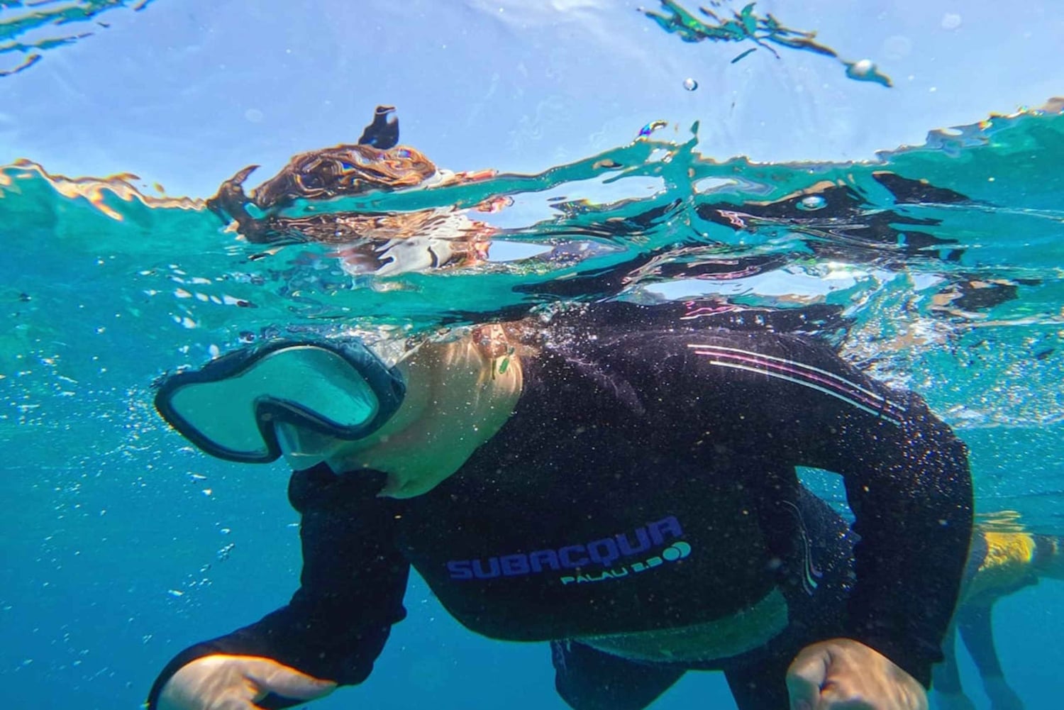 Tenerife: Snorkelsafari i Puerto Colon med hurtigbåt