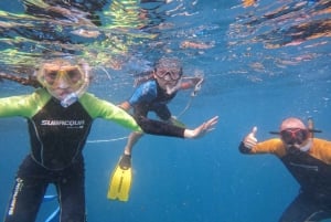 Tenerife: Safari de snorkel en lancha rápida por Puerto Colón