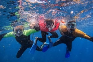 Tenerife: Puerto Colon Snorkel Safari by Speed Boat