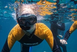 Tenerife: Safari de snorkel en lancha rápida por Puerto Colón