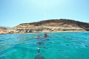 Tenerife: Snorkelsafari i Puerto Colon med hurtigbåt