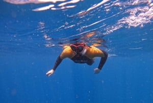 Tenerife: Snorkelsafari i Puerto Colon med hurtigbåt