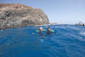 Tenerife: Snorkelsafari i Puerto Colon med hurtigbåt