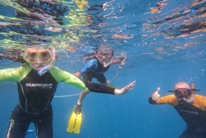 Tenerife: Snorkelsafari i Puerto Colon med hurtigbåt