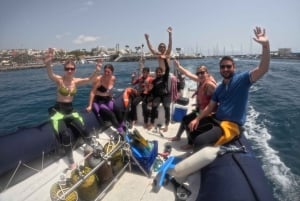 Tenerife: Snorkelsafari i Puerto Colon med hurtigbåt