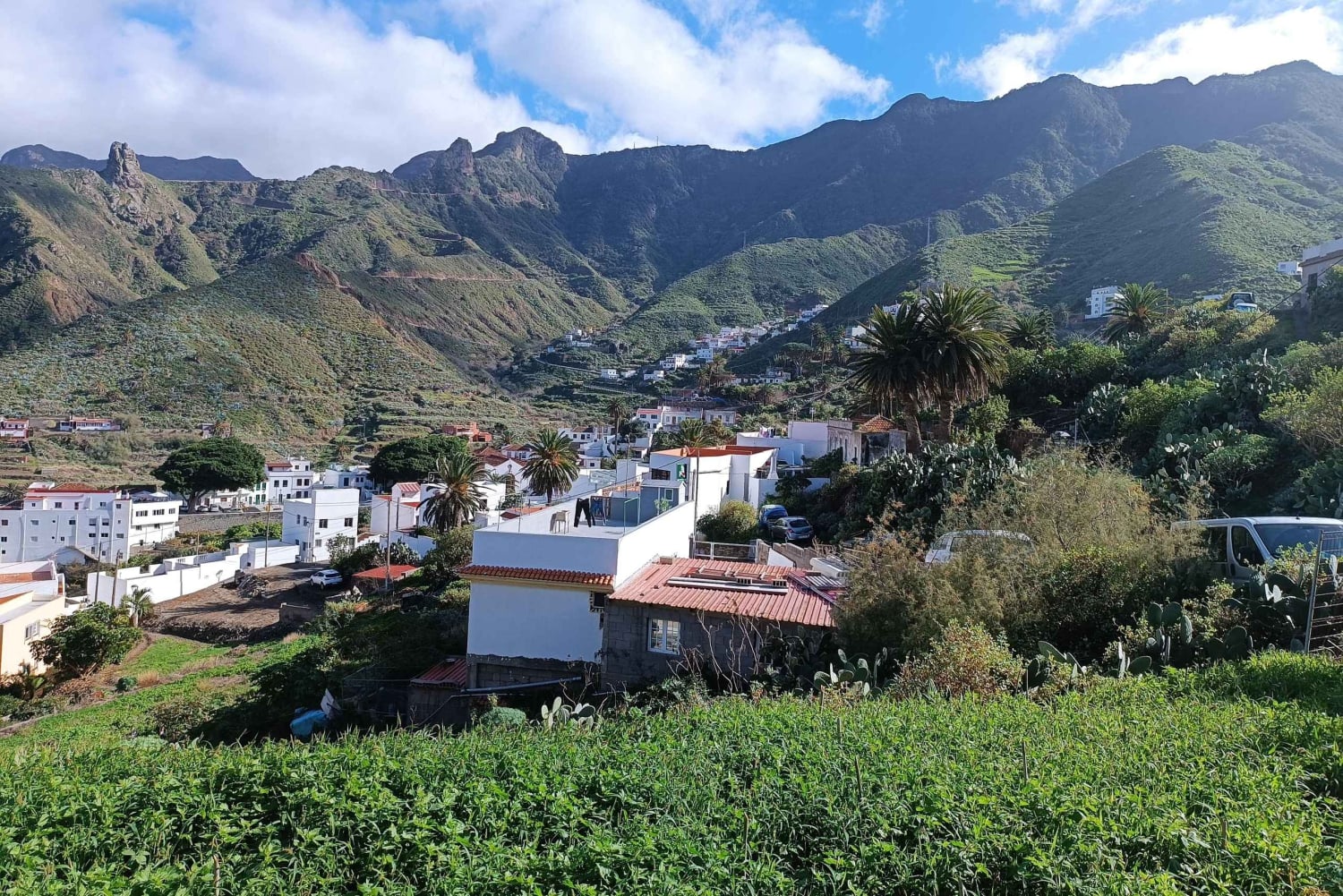 Тенерифе-Пуэрто-Крус: поход по маршруту «Аватар», Бахамар и коктейль