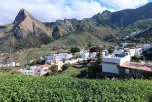 Тенерифе-Пуэрто-Крус: поход по маршруту «Аватар», Бахамар и коктейль