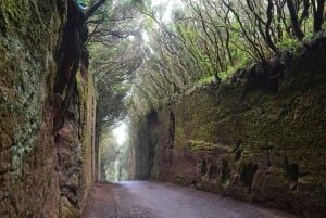 Тенерифе-Пуэрто-Крус: поход по маршруту «Аватар», Бахамар и коктейль