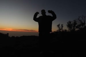 Tenerife: Quadbike-tur til Teide-bjerget ved solnedgang