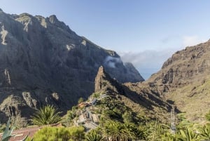 Tenerife: Quad ride to visit Teide National Park, day or sunset