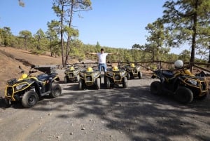 Tenerife: Teide Morning Quad to Mount Teide Islands View