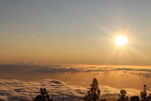 Teneryfa: Quad Sunset Volcano Park Narodowy Teide
