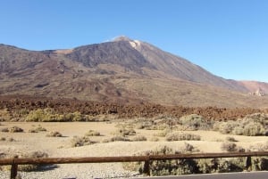 Tenerife: Quad Trip to the mount Teide with snack