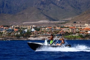 Tenerife: Rent a Boat with No License, Self Drive