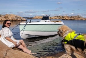 Tenerife: rent a boat without license