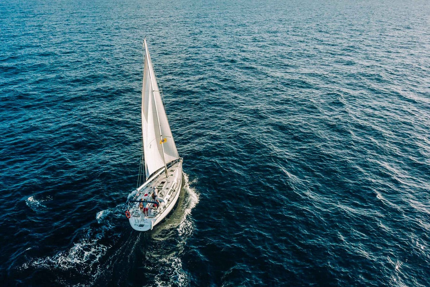 Tenerife: Zeilboot Tour Walvissen spotten, eten en snorkelen