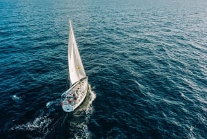 Tenerife: Zeilboot Tour Walvissen spotten, eten en snorkelen