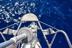 Tenerife: Zeilboot Tour Walvissen spotten, eten en snorkelen