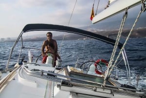 Tenerife: Zeilboot Tour Walvissen spotten, eten en snorkelen