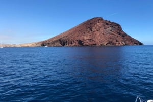 Tenerife: Zeilboot Tour Walvissen spotten, eten en snorkelen