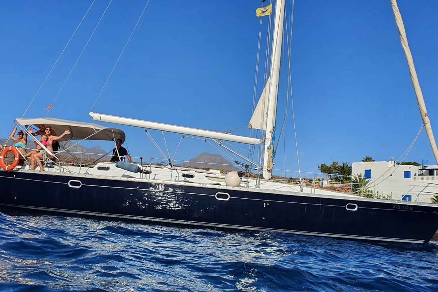 Tenerife: Sejltur med hval- og delfinsafari