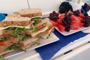 Tenerife: Sailing Excursion with Whale and Dolphin Watching