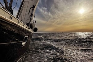 Tenerife: Sailing Excursion with Whale and Dolphin Watching