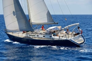 Tenerife: Sejltur med hval- og delfinsafari