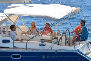 Tenerife: Sejltur med hval- og delfinsafari